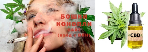 крисы Дмитровск