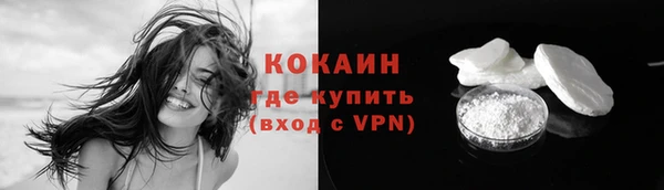 шишки Болотное