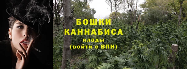 дурь Дмитров