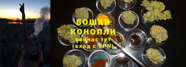 крисы Дмитровск